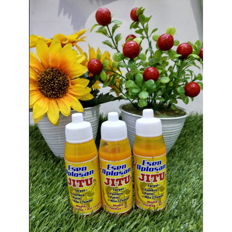 Essen jitu Nila tombro ikan mas patin