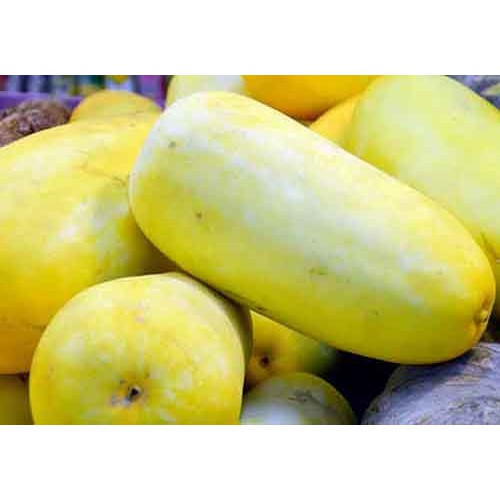 Bibit Benih Duaribuan Buah Melon Blewah Semangka dll PG KDR