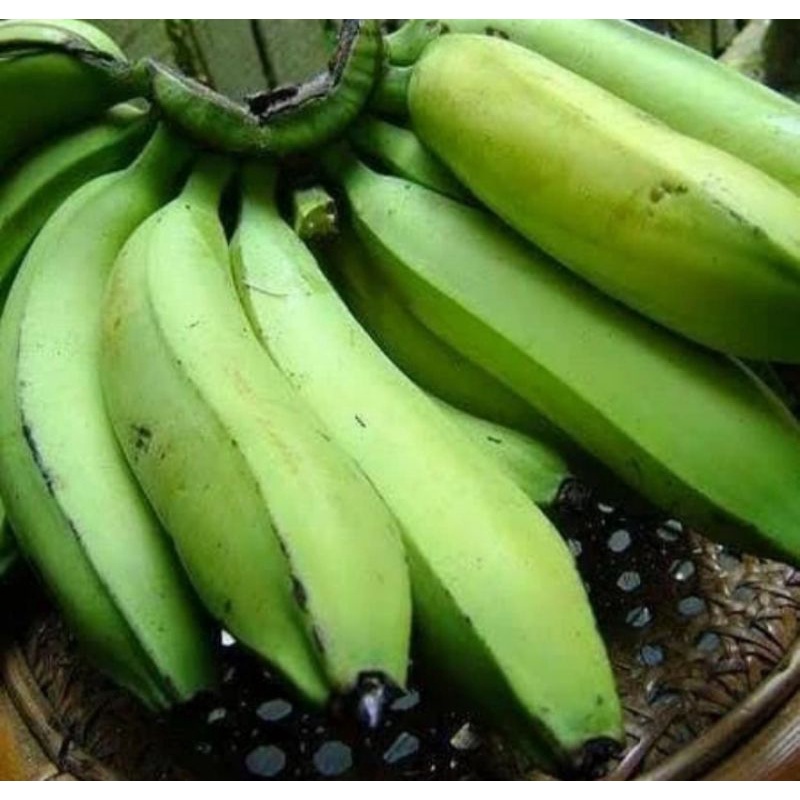 

pisang nangka super per 1 kg