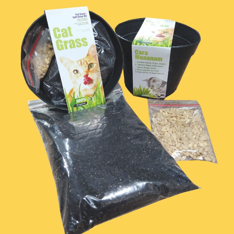 PAKET TANAM CATGRASS - Paket Lengkap Menanam Catgrass Rumput Kucing Wheatgrass Dapat Pot Kompos Benih