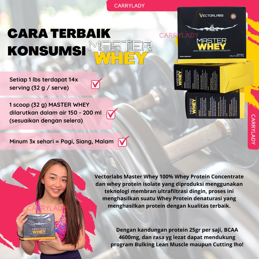 VECTORLABS MASTER WHEY 1 BOX 14 SACHET SASET 448 GRAM GR 1 LBS VECTOR LABS VL ORIGINAL MURAH GROSIR BPOM HALAL 1LBS MASTERWHEY