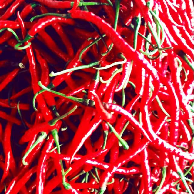 

Cabe merah segar