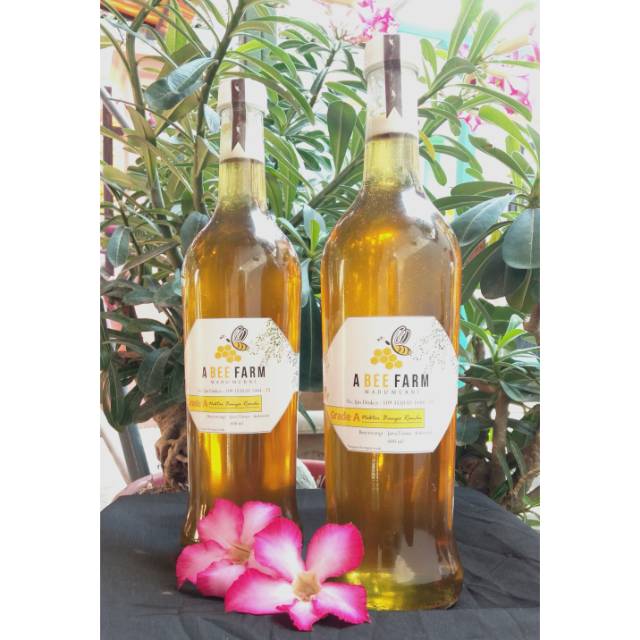 

Madu Murni Grade A 600 ml