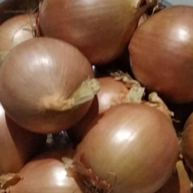 

Bawang bombay 1kg