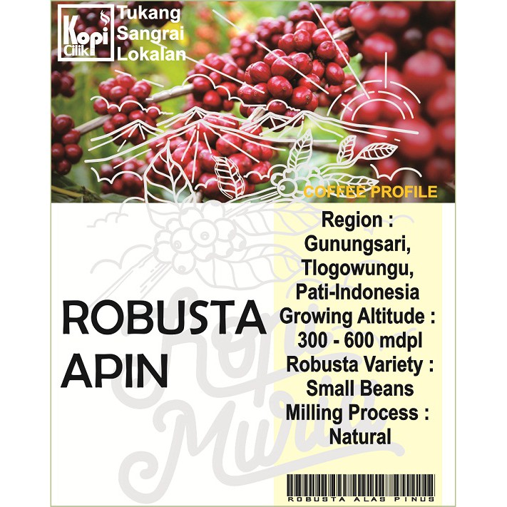 

ROBUSTA MURIA APIN