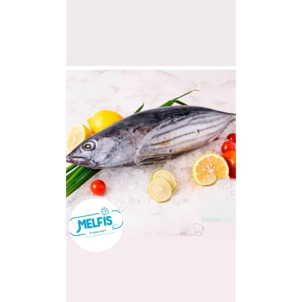 

Ikan Cakalang Frozen 1KG