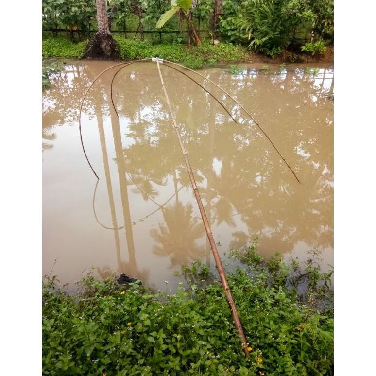 Tangkul / Anco / Hancau Penangkap Ikan Udang Bahan Senar 0.20 mm
