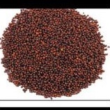 

PREMIUM MUSTARD SEED/ BIJI SAWI 100 GRAM