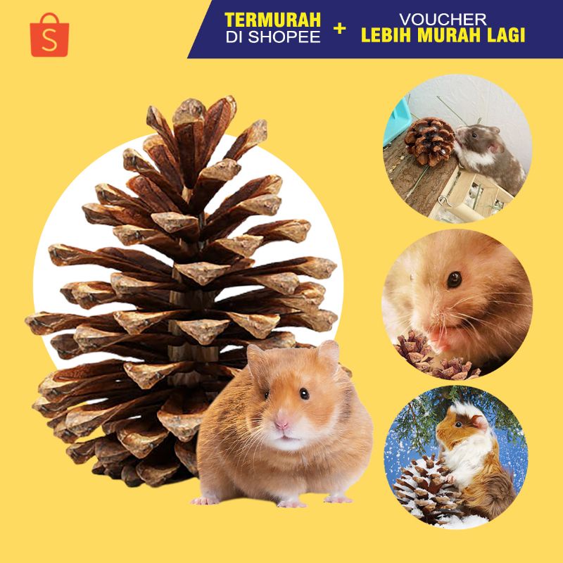 PINE CONE Mainan Gigitan Hamster Mainan Hamster Dekorasi Kandang Hamster ALAMI