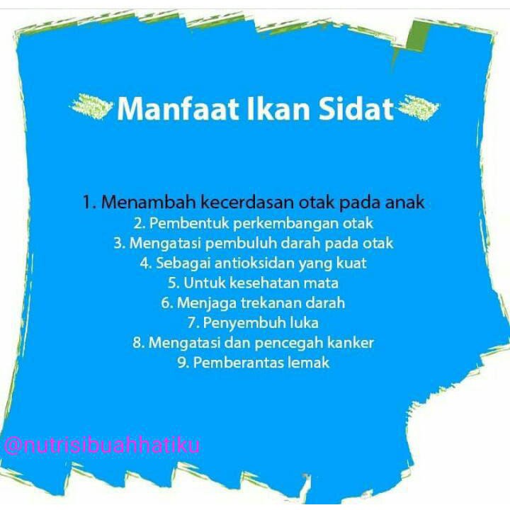 NUTRIDAT Madu Herbal Alami BELI 4 GRATIS 1 Meningkatkan Kecerdasan Pada Anak Dan Suplemen Penambah Nafsu Makan Anak