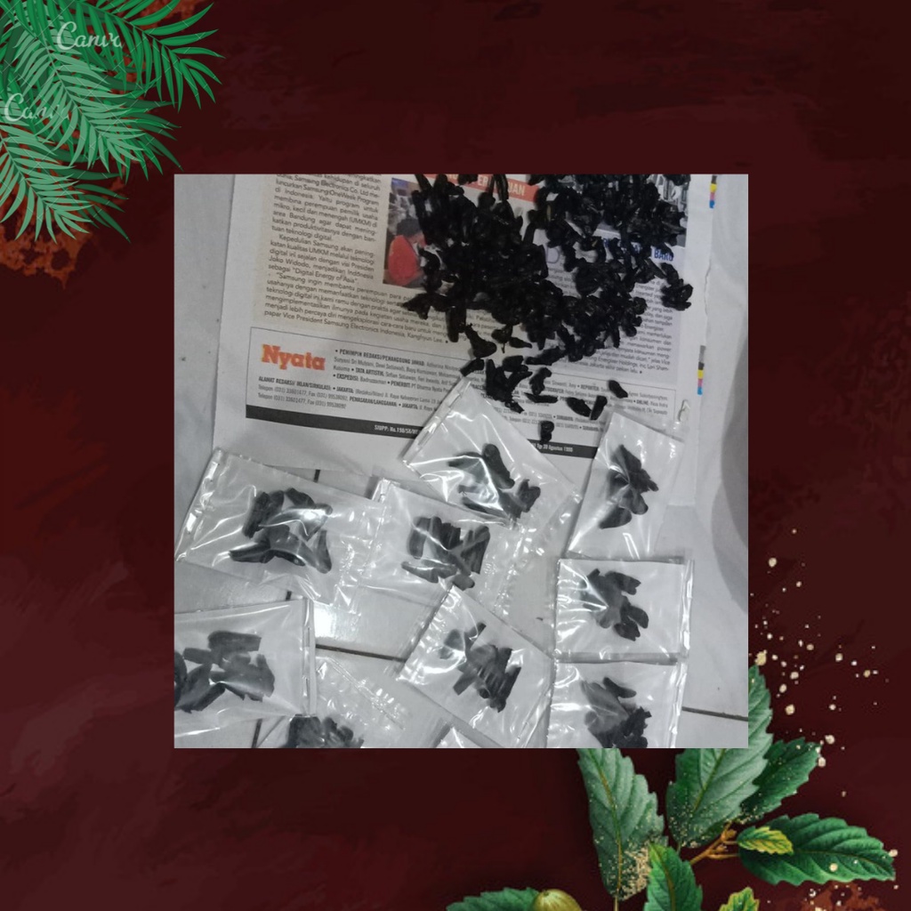 Empedu Ular Cobra Asli Ibu Aminah Obat Herbal Gatal Penyakit Rematik Darah Tinggi Original 100%