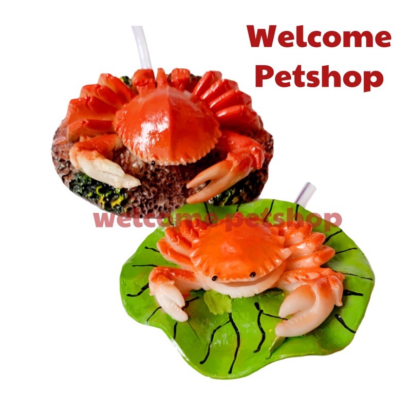 Small Crab / Kepiting Kecil / Aksesoris Aquarium / Hiasan Aquarium