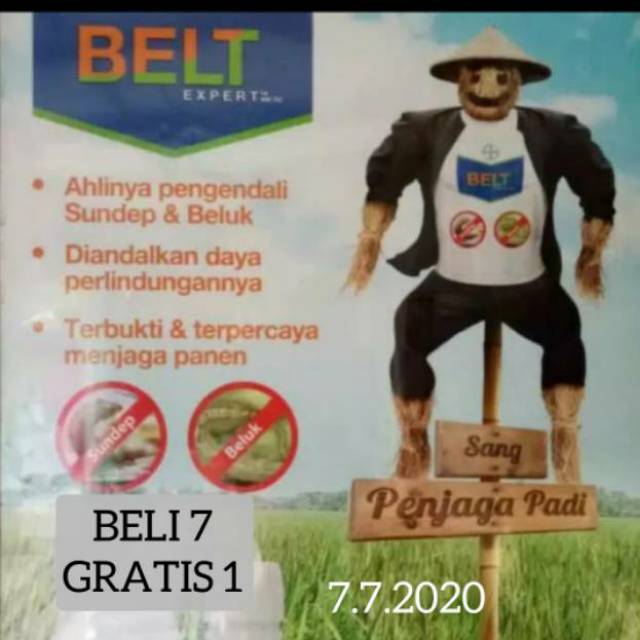 Insektisida anti hama/ insektisida BELT/ obat sundep / obat padi