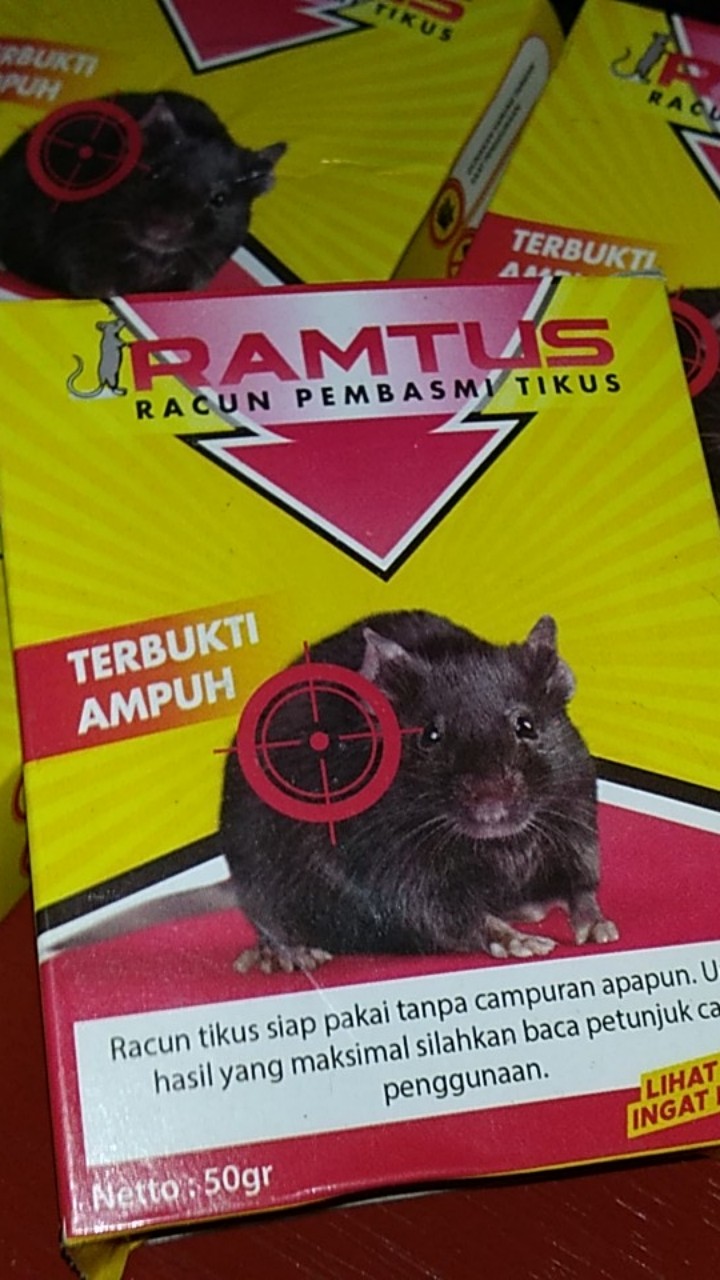 Racun Tikus Ramtus Asli Alami Mati Kering Tidak Bau Pembasmi Pengusir Tikus Super Paling Ampuh 6 Pak