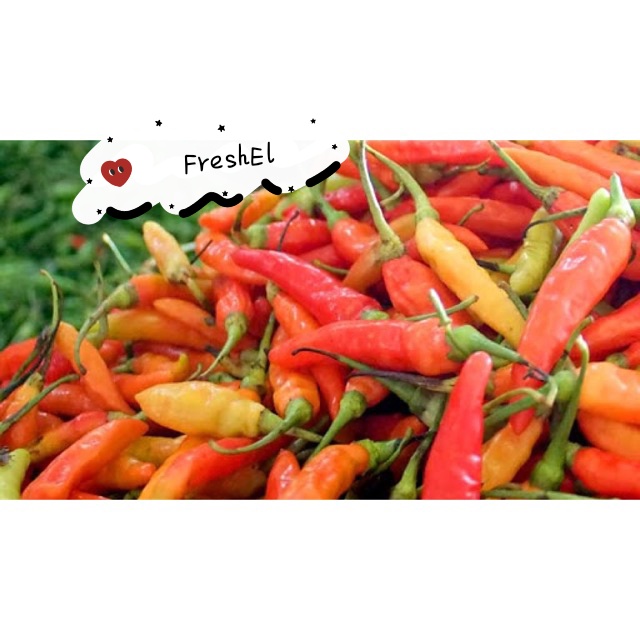 

FreshEl - CABE RAWIT MERAH/ RAWIT SETAN