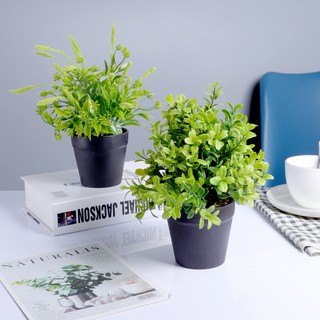 Homes Tanaman palsu desktop pot bunga hiasan DIY rumah Homes Tanaman palsu desktop pot bunga hiasan DIY rumah