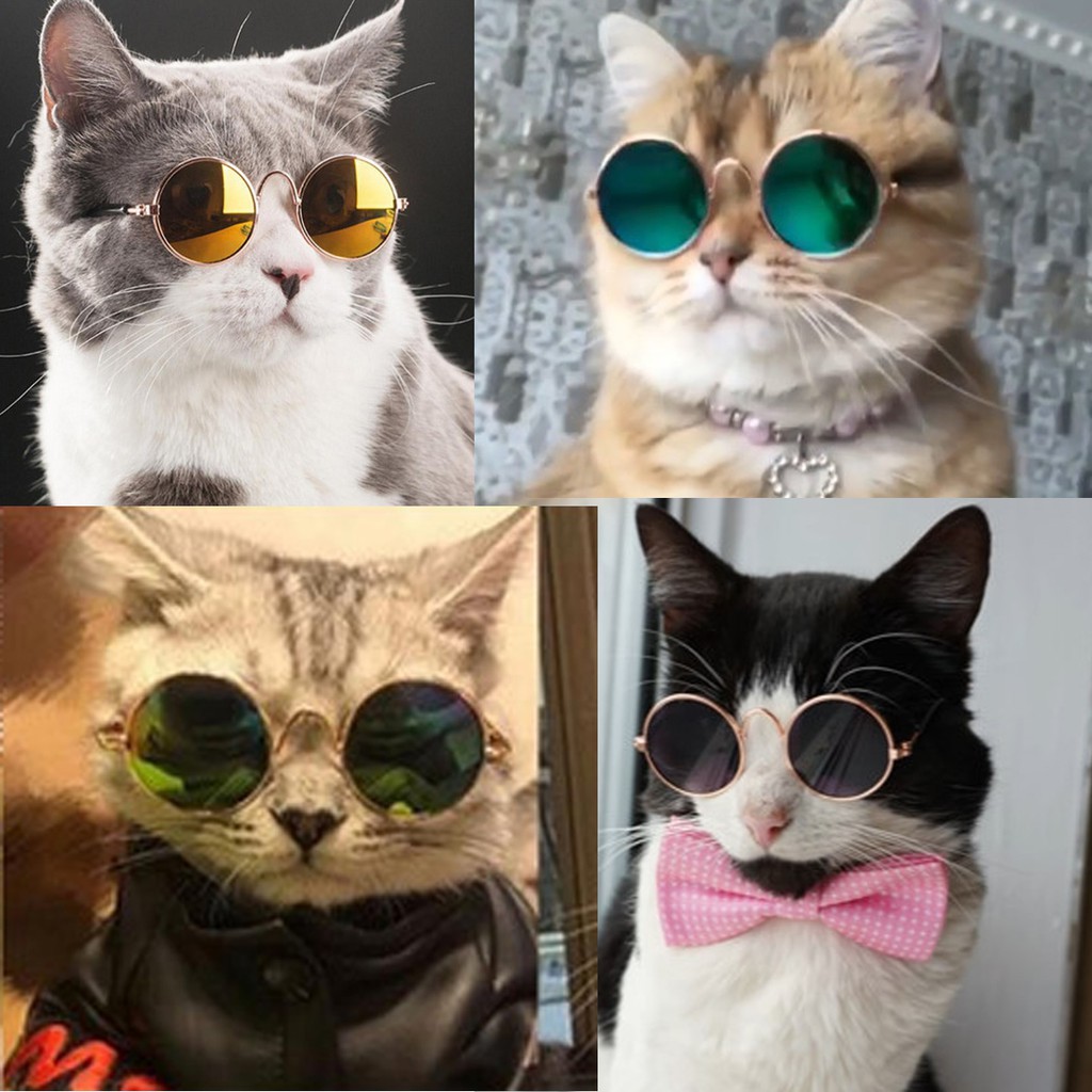 KACAMATA KUCING KACAMATA ANJING KACAMATA HEWAN AKSESORIS HEWAN Eiji Petshop Medan