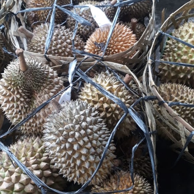 

Durpas(Durian Kupas) 1000gr