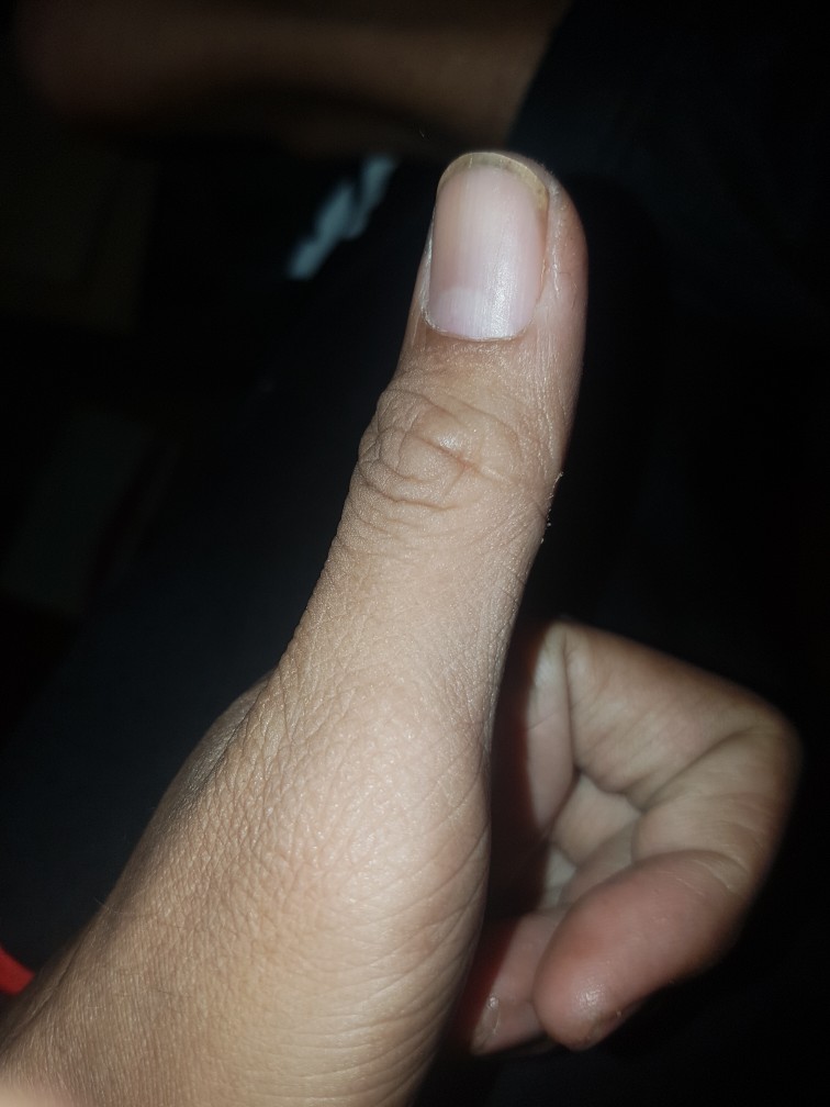 Multimeter Richmeter  Ac/dc Voltage Tester Rm102/ Rm101