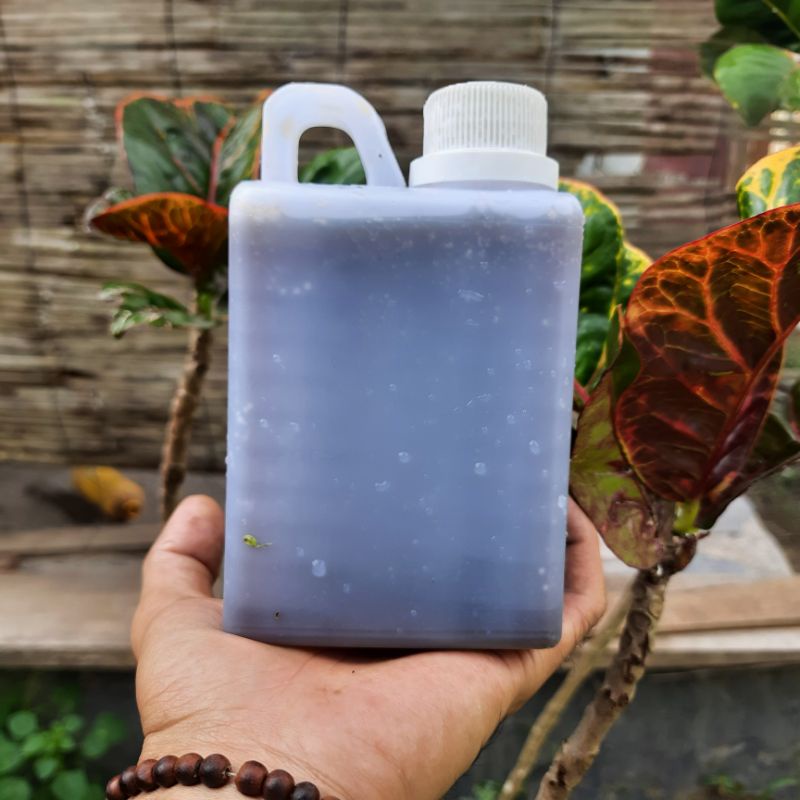 ASAM AMINO PREMIUM,PUPUK ASAM AMINO SUPER,ASAM AMINO PERTANIAN,KEMASAN 500 ML