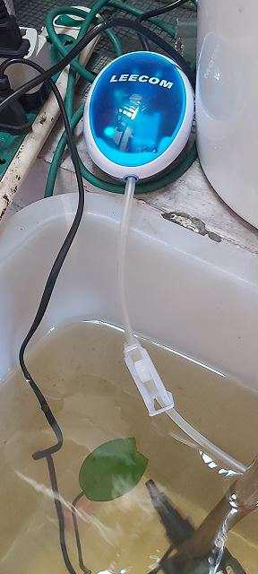 Rhk Leecom Pompa Udara Aquarium 1.5w - Au-312 - Blue