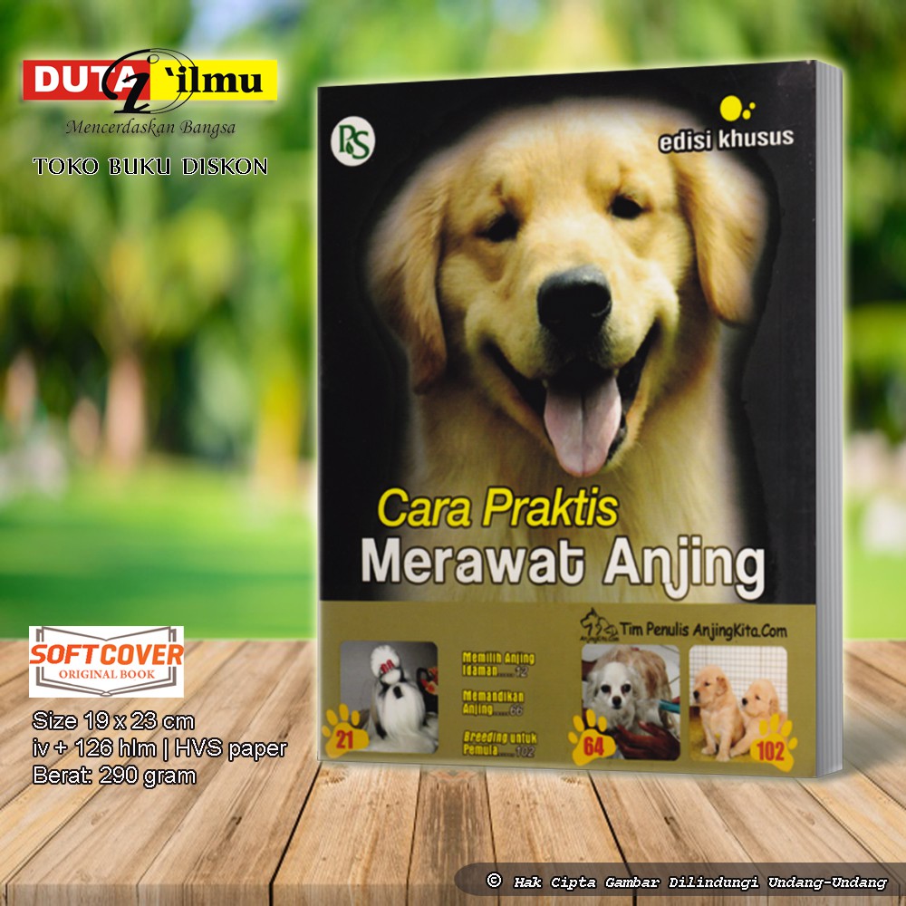 Cara Praktis Merawat Anjing Shopee Indonesia