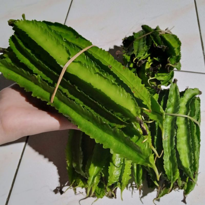 

sayur kecipir 250gr langsung dari petani hasil panen sendiri Cipir