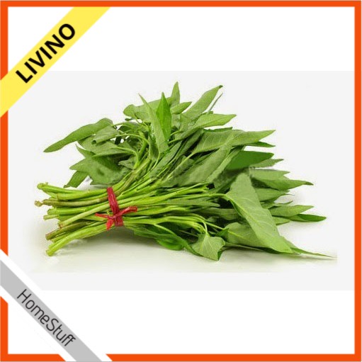 BENIH BIBIT KANGKUNG SAYURAN 20GRAM LIVINO