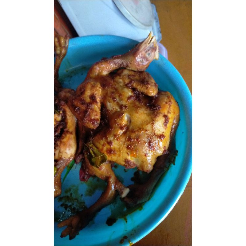 

ayam kampungutuh frozen