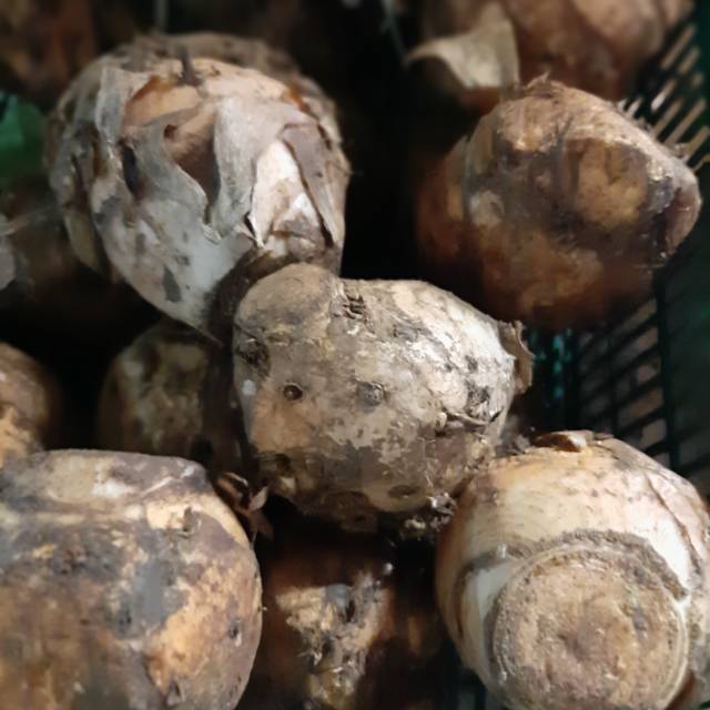 

Temulawak 700gram