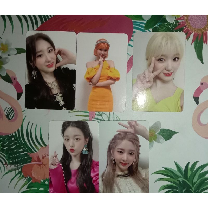 (READY) PC IZ*ONE (WONYOUNG, MINJU, CHAEWON, NAKO, CHAEYEON) BLOOM*IZ