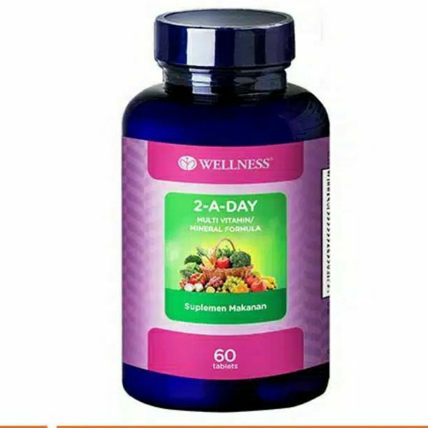 WELLNESS MULTIVITAMIN/MINERAL 2-A-DAY ( 60 )