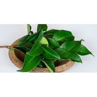 

Daun Salam/Daun Jeruk per 100g
