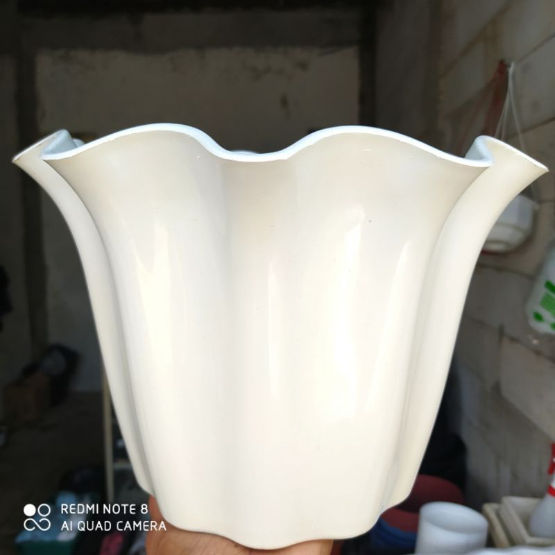 POT BUNGA PRIMADONA JUMBO 40 PUTIH CANTIK
