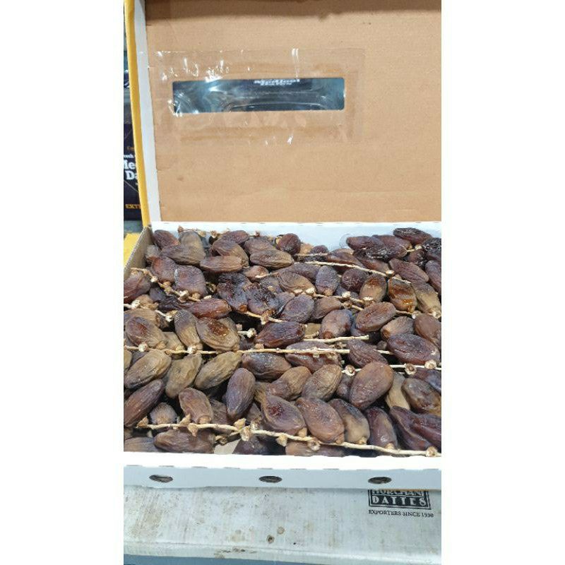 kurma tunisia palm kurma tangkai premium