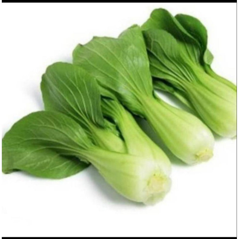 

Sawi Pokcoy besar sayur segar 500g - pasar segar depok
