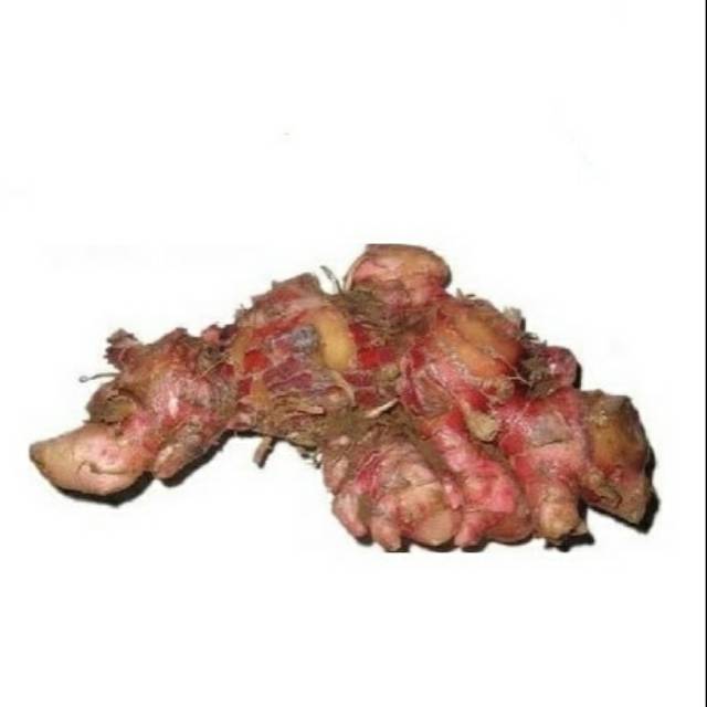 

SAYUR FRESH JAHE MERAH