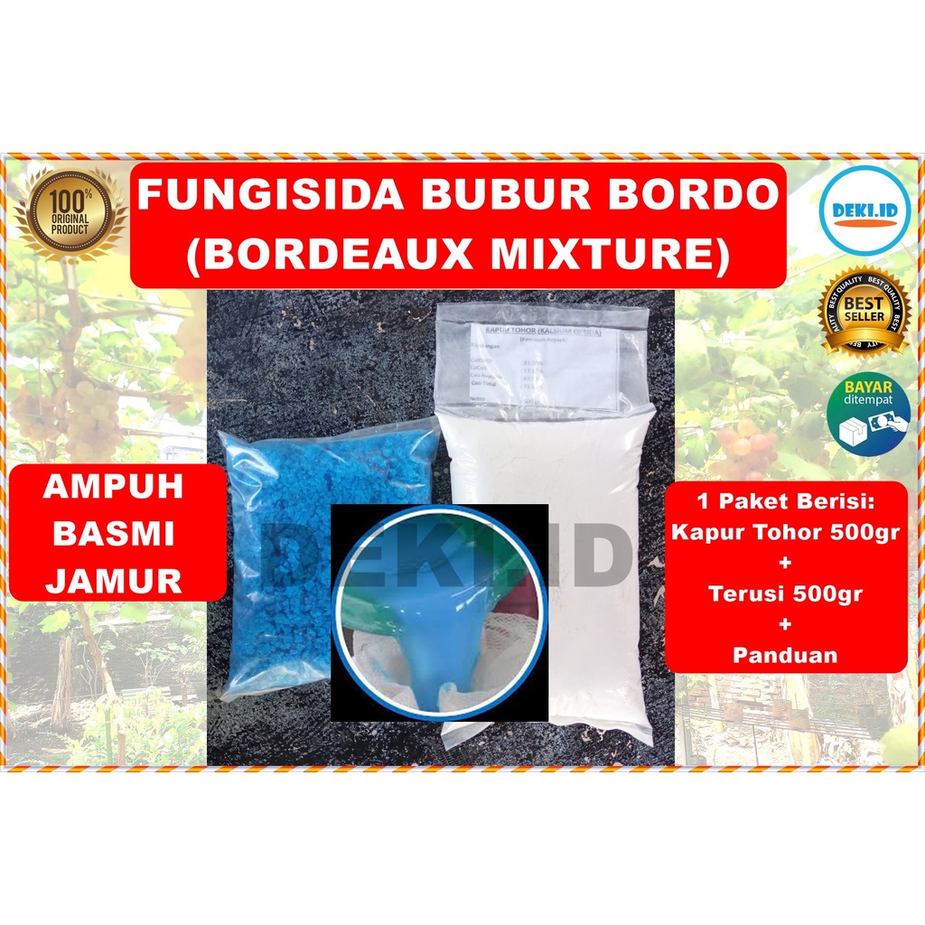 Bubur Bordo Bordeaux Mixture Paket Bahan Fungisida Kapur Tohor Cao Trusi Copper Sulfate Tembaga Sulf