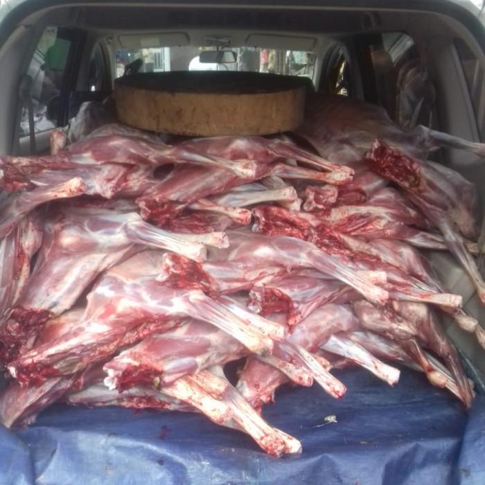 

Meat | Kambing Muda Timbang Utuh Tanpa Kepala Kulit Dan Isi Perut