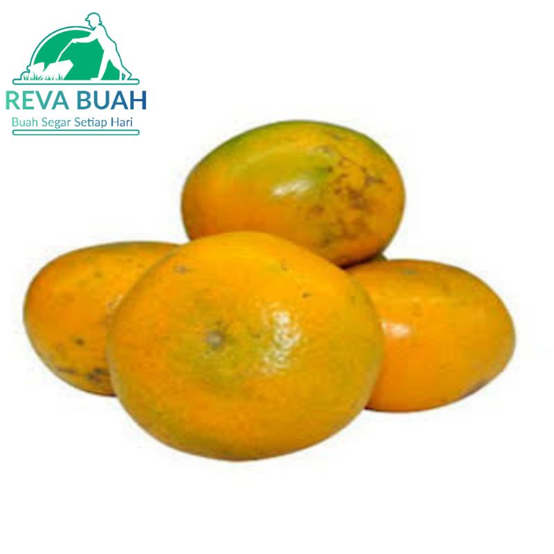 

Jeruk Medan Fresh Manis