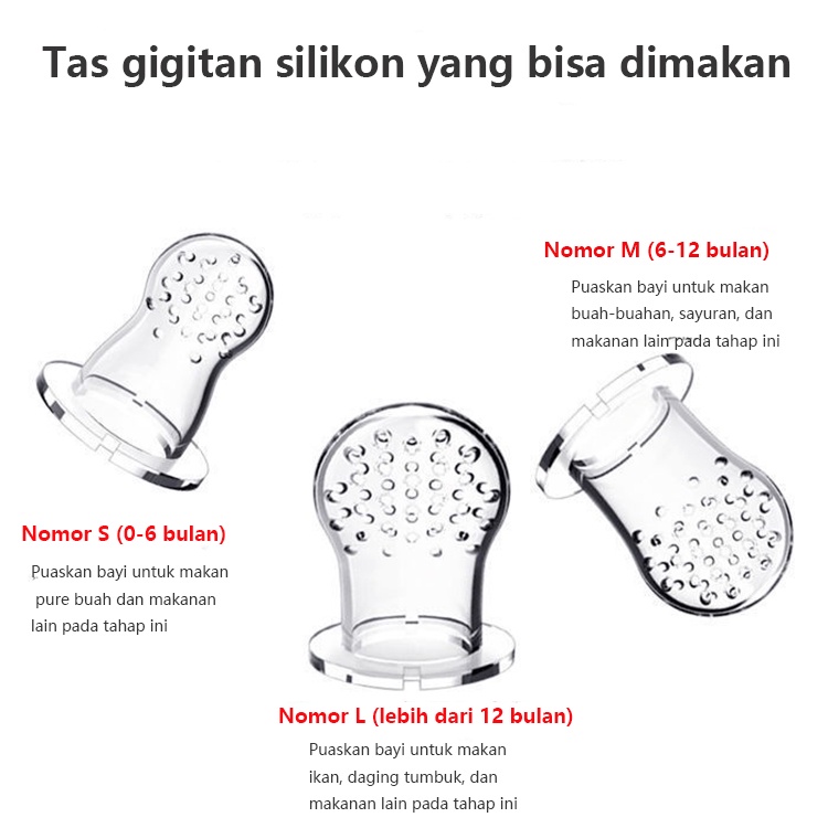 Empeng Dot Buah Anak Bayi Fruit Feeder Rattle Teether Kompeng Pacifier Gigitan Bayi (E30)-8