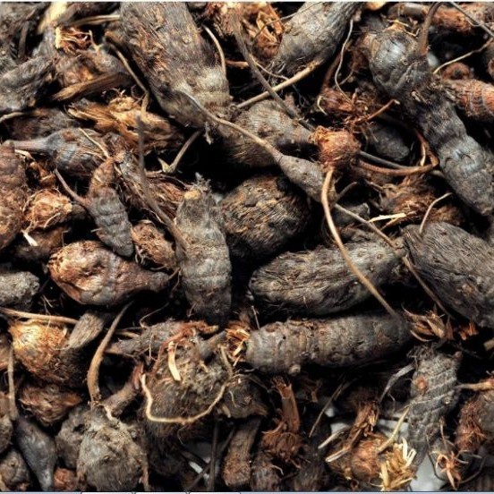 

Umbi Suket Teki Kering 250 gram (1/4 kg) Asli kwalitas Terjamin / Cyperus rotundus