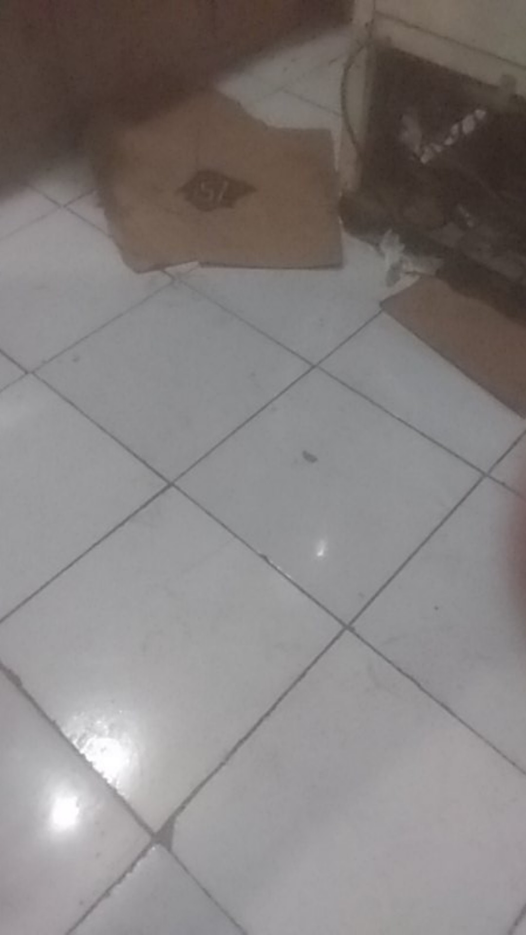 Obeng Tespen Bolak Balik Bening  |  Tes Pen  |  Test Pen 2way