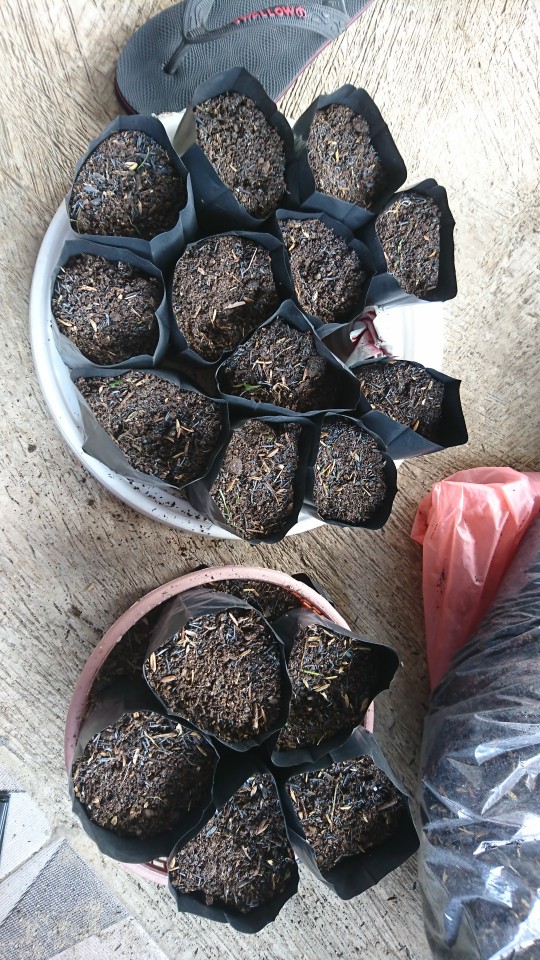 Polybag Ecer 10x10 15x15 20x20 25x25 30x30 40x40 18x18 Polibag Polibek