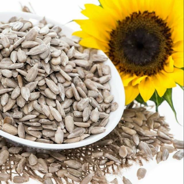 

Biji Bunga Matahari Sunflower Seeds Oven Botol 150gr