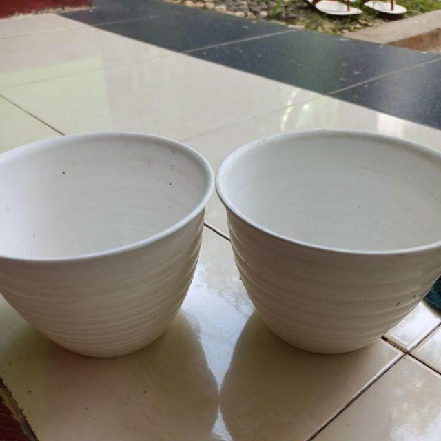Pot Tanaman Tawon Putih Diameter 15cm