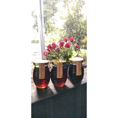 

Madu Lebah Klanceng Murni