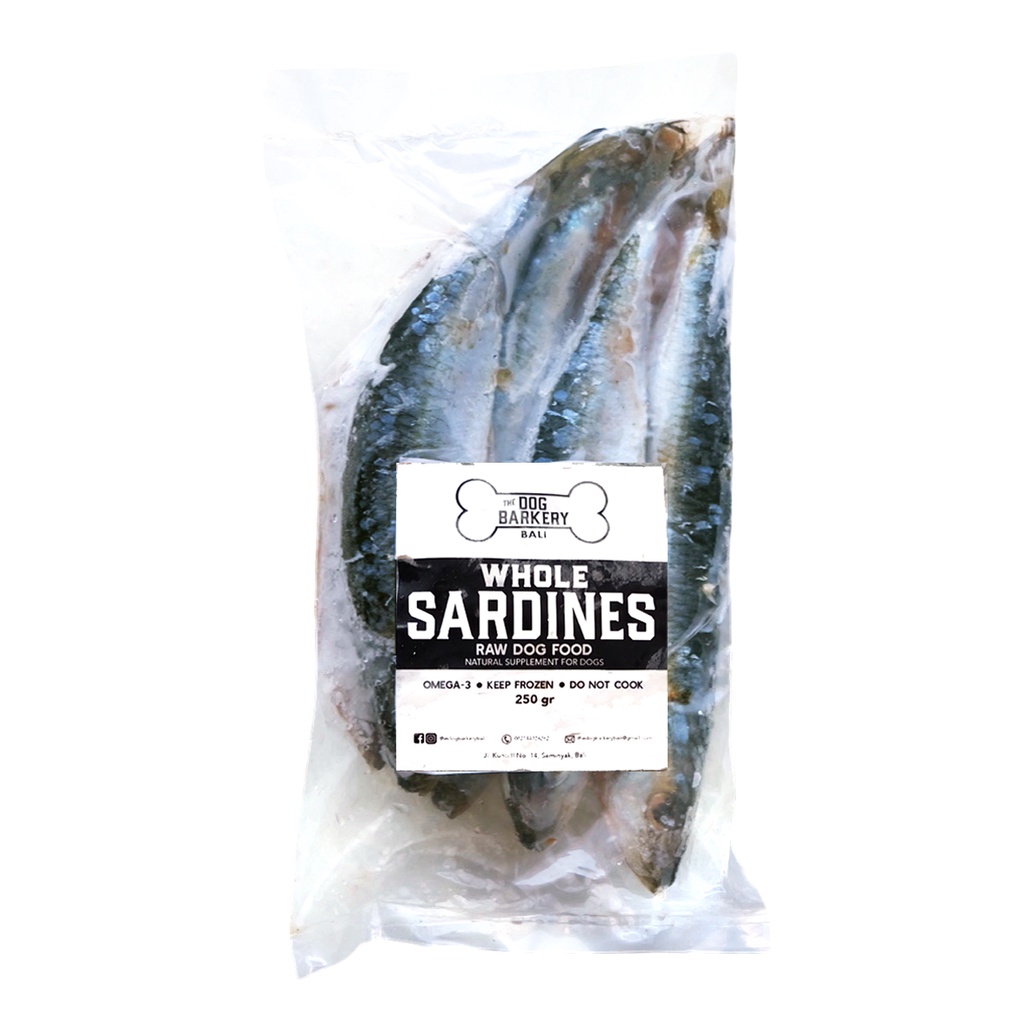 Jual Raw Frozen Whole Sardines Shopee Indonesia