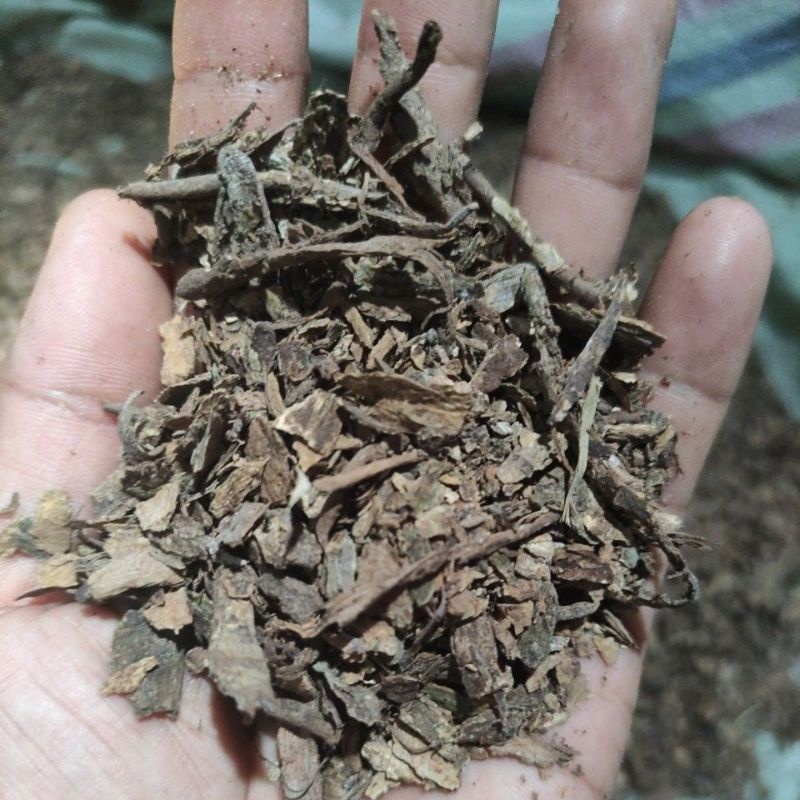 

KAYU RAPET RAGEN KERING 500 GRAM RONTOKAN KECIL