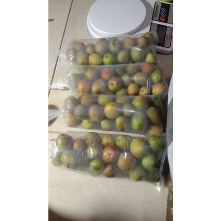 buah segar bidara arab asli langsung petik 300gram